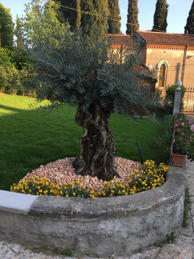 Castel Montorio Bed & Breakfast *