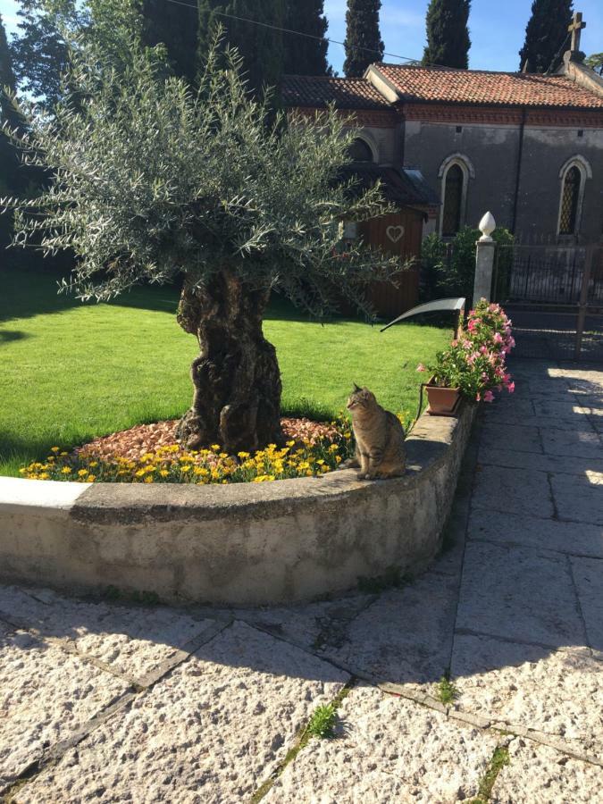 Bed & Breakfast Castel Montorio