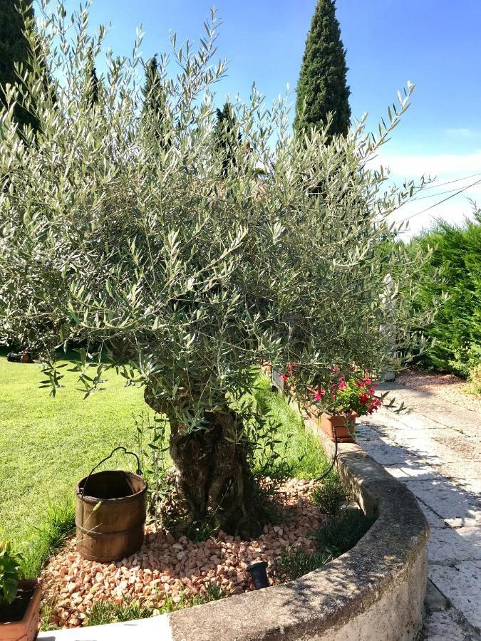 Bed & Breakfast Castel Montorio